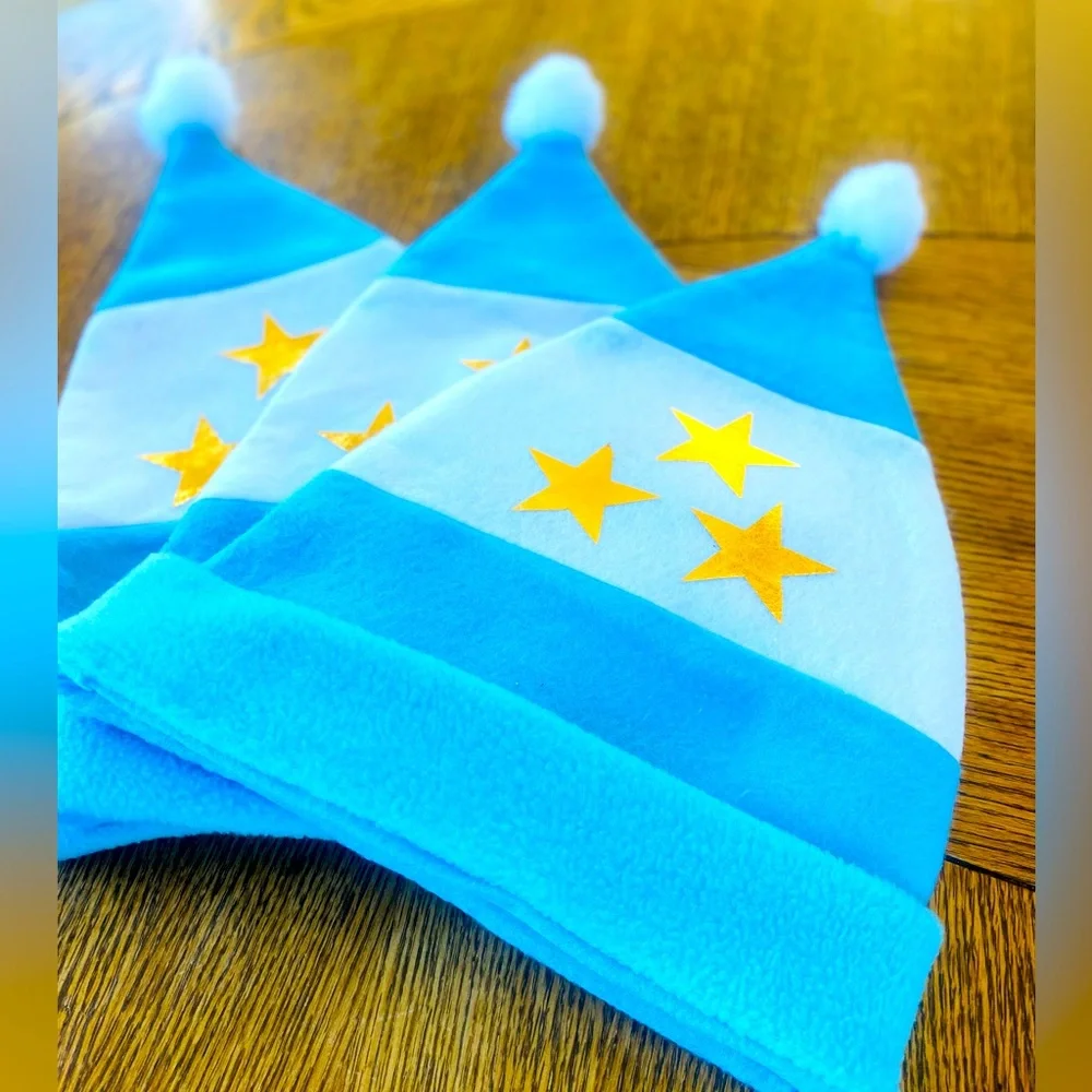 Argentina Flag Christmas Hat